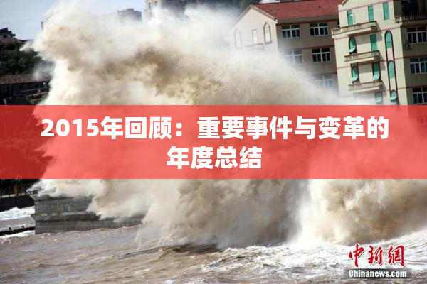 2015年回顾：重要事件与变革的年度总结