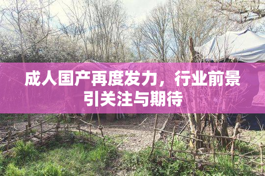 成人国产再度发力，行业前景引关注与期待