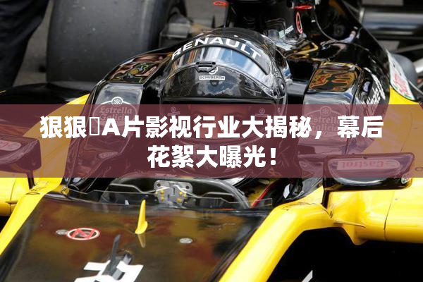 狠狠穞A片影视行业大揭秘，幕后花絮大曝光！