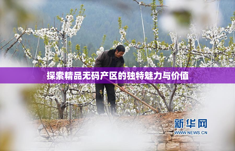 探索精品无码产区的独特魅力与价值