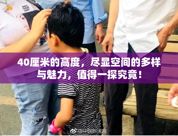 40厘米的高度，尽显空间的多样与魅力，值得一探究竟！