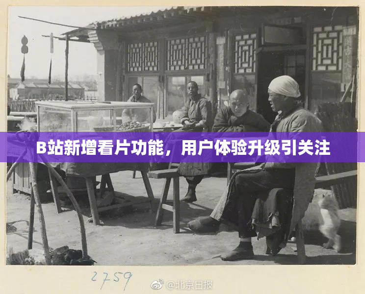 B站新增看片功能，用户体验升级引关注