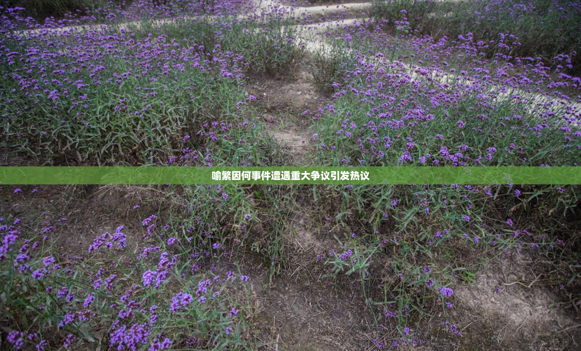 喻繁因何事件遭遇重大争议引发热议