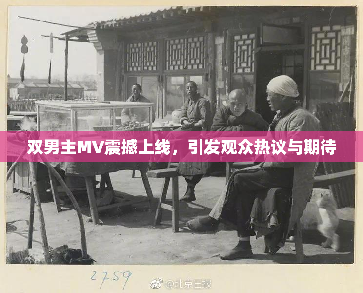 双男主MV震撼上线，引发观众热议与期待