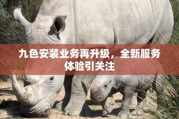 九色安装业务再升级，全新服务体验引关注