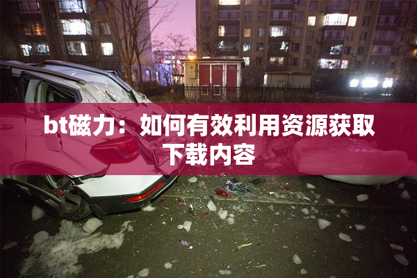 bt磁力：如何有效利用资源获取下载内容