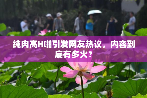 纯肉高H啪引发网友热议，内容到底有多火？