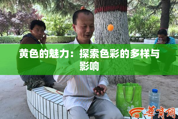 黄色的魅力：探索色彩的多样与影响