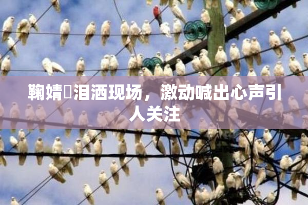 鞠婧祎泪洒现场，激动喊出心声引人关注