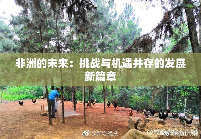 非洲的未来：挑战与机遇并存的发展新篇章