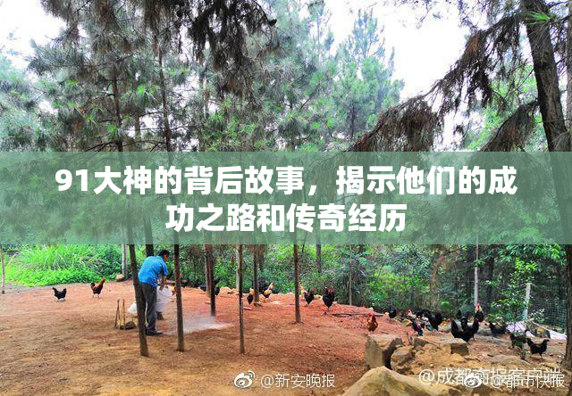 91大神的背后故事，揭示他们的成功之路和传奇经历