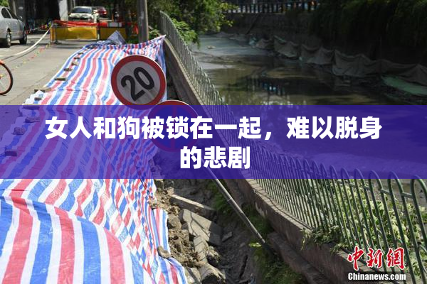 女人和狗被锁在一起，难以脱身的悲剧