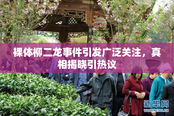 裸体柳二龙事件引发广泛关注，真相揭晓引热议