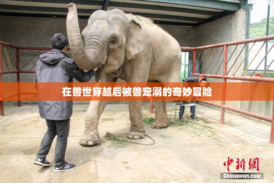 在兽世穿越后被兽宠溺的奇妙冒险