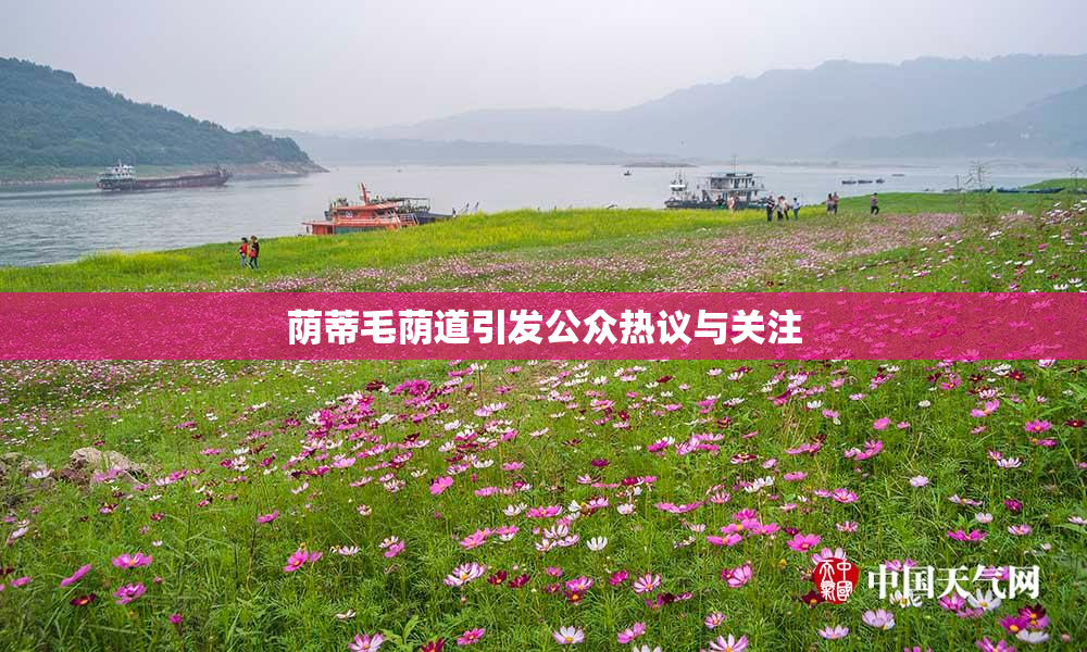 荫蒂毛荫道引发公众热议与关注
