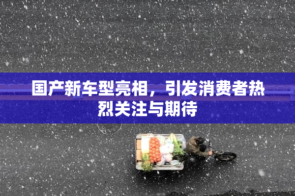国产新车型亮相，引发消费者热烈关注与期待