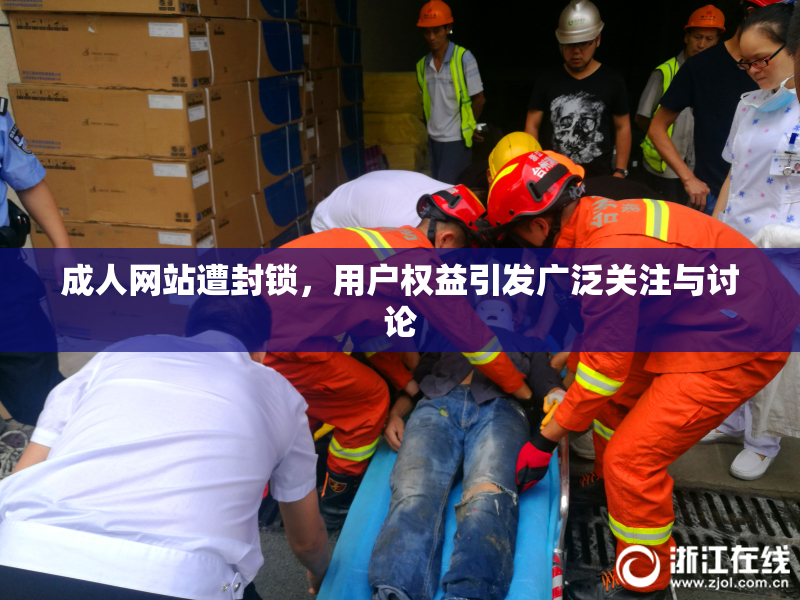 成人网站遭封锁，用户权益引发广泛关注与讨论