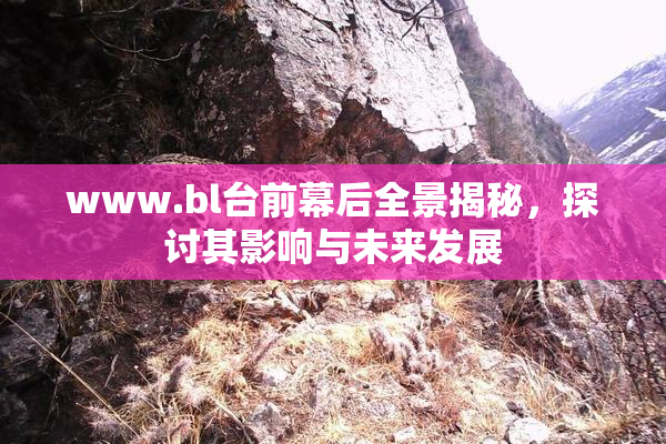 www.bl台前幕后全景揭秘，探讨其影响与未来发展