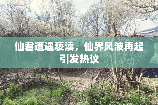 仙君遭遇亵渎，仙界风波再起引发热议