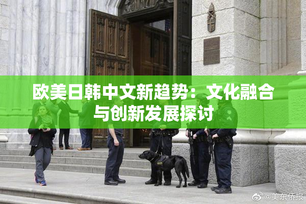 欧美日韩中文新趋势：文化融合与创新发展探讨