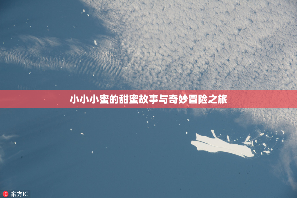 小小小蜜的甜蜜故事与奇妙冒险之旅