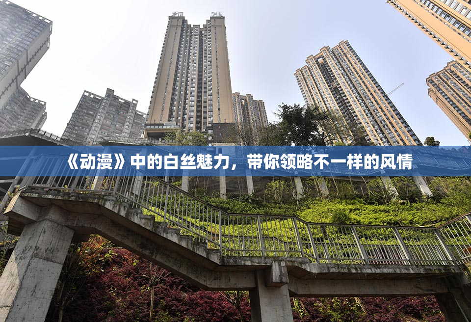 《动漫》中的白丝魅力，带你领略不一样的风情