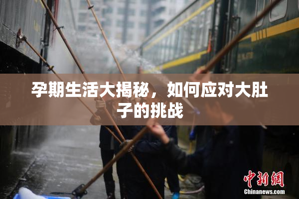 孕期生活大揭秘，如何应对大肚子的挑战