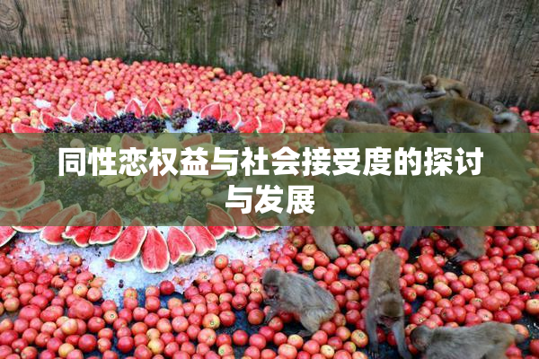 同性恋权益与社会接受度的探讨与发展