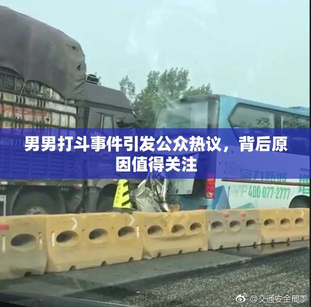 男男打斗事件引发公众热议，背后原因值得关注