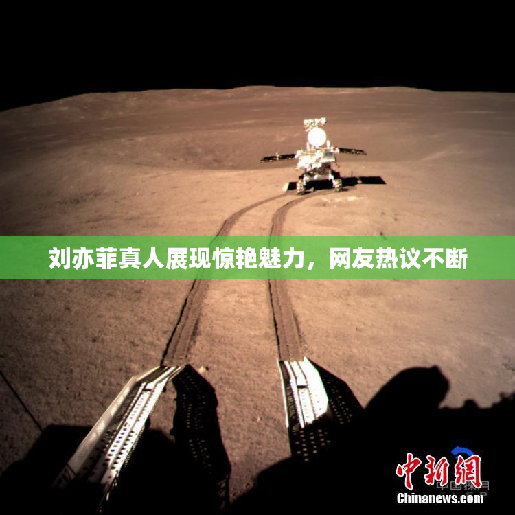 刘亦菲真人展现惊艳魅力，网友热议不断