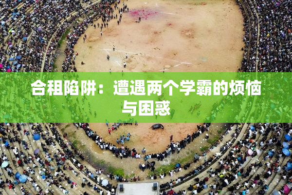 合租陷阱：遭遇两个学霸的烦恼与困惑