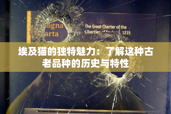 埃及猫的独特魅力：了解这种古老品种的历史与特性
