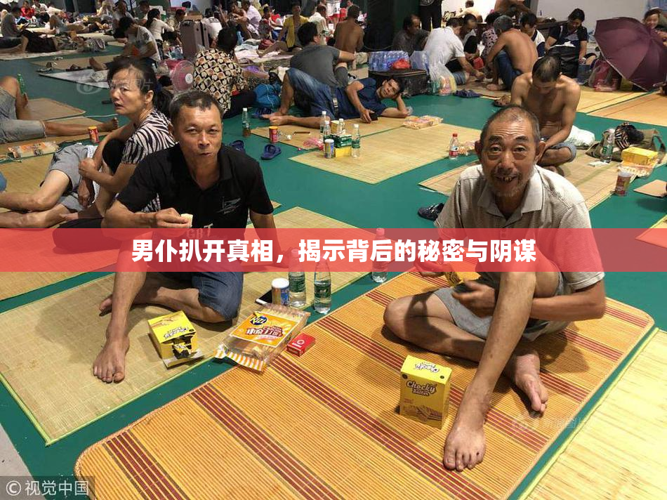 男仆扒开真相，揭示背后的秘密与阴谋