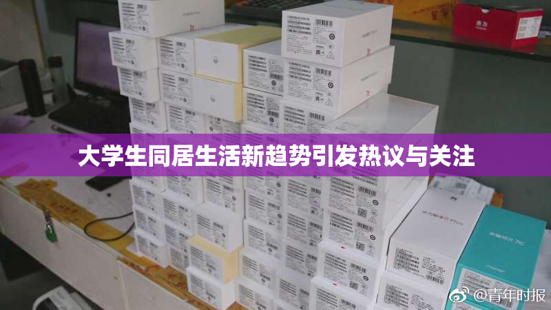 大学生同居生活新趋势引发热议与关注