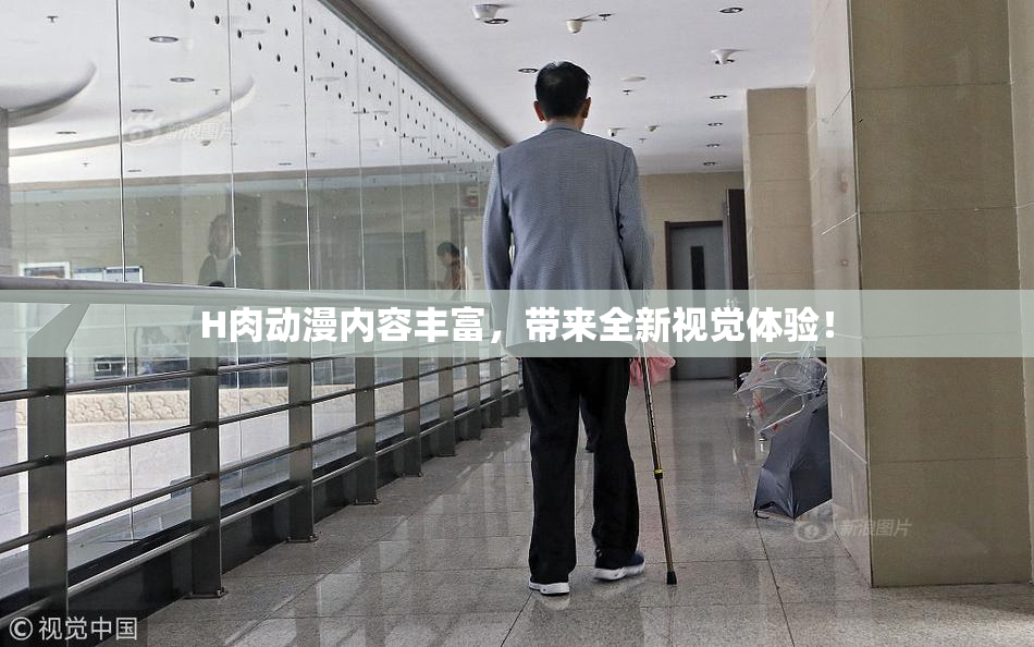 H肉动漫内容丰富，带来全新视觉体验！