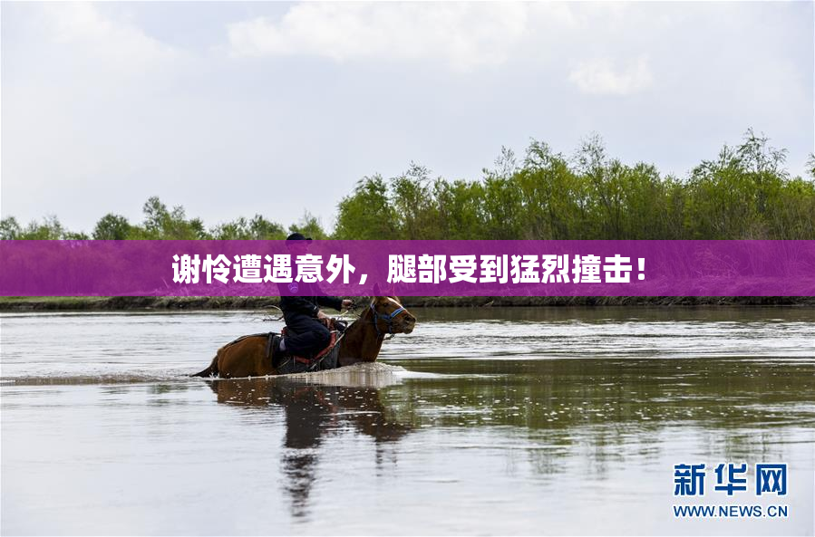 谢怜遭遇意外，腿部受到猛烈撞击！