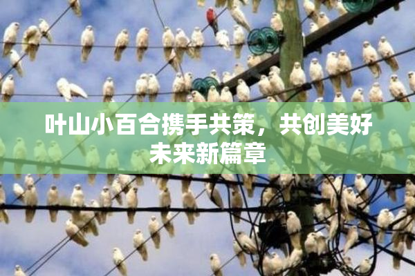 叶山小百合携手共策，共创美好未来新篇章
