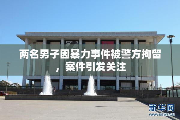 两名男子因暴力事件被警方拘留，案件引发关注