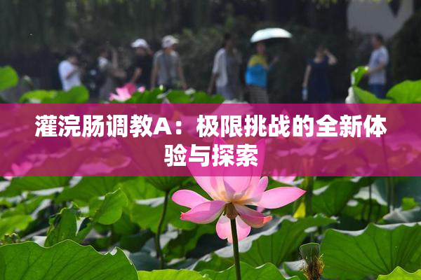 灌浣肠调教A：极限挑战的全新体验与探索