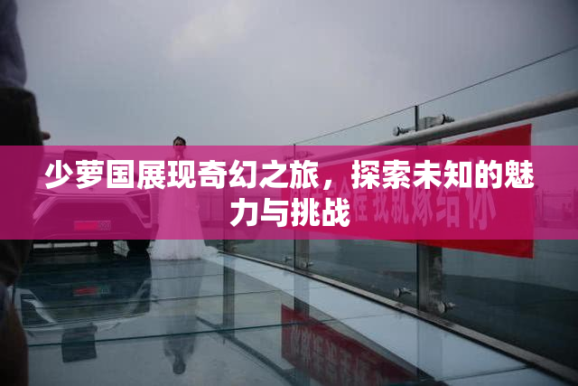 少萝国展现奇幻之旅，探索未知的魅力与挑战