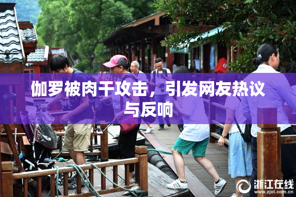 伽罗被肉干攻击，引发网友热议与反响