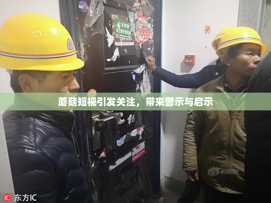 蘑菇短视引发关注，带来警示与启示