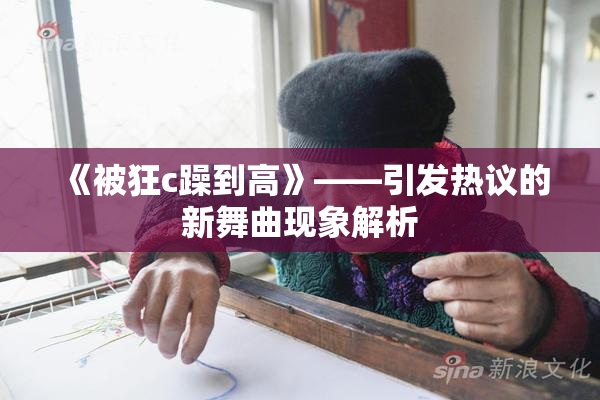 《被狂c躁到高》——引发热议的新舞曲现象解析