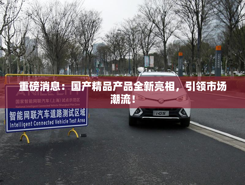 重磅消息：国产精品产品全新亮相，引领市场潮流！