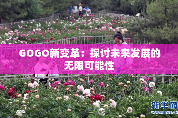 GOGO新变革：探讨未来发展的无限可能性