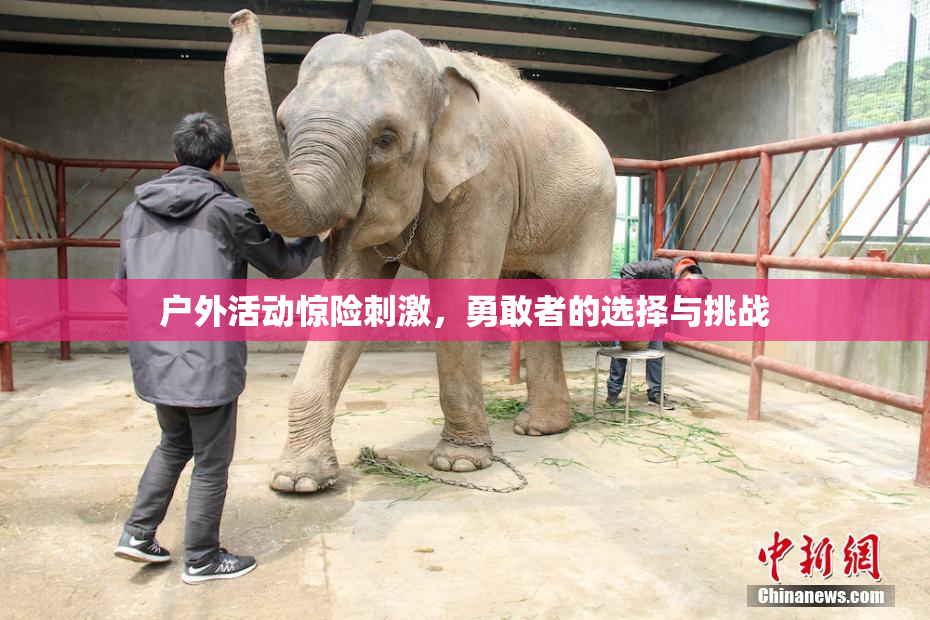 户外活动惊险刺激，勇敢者的选择与挑战