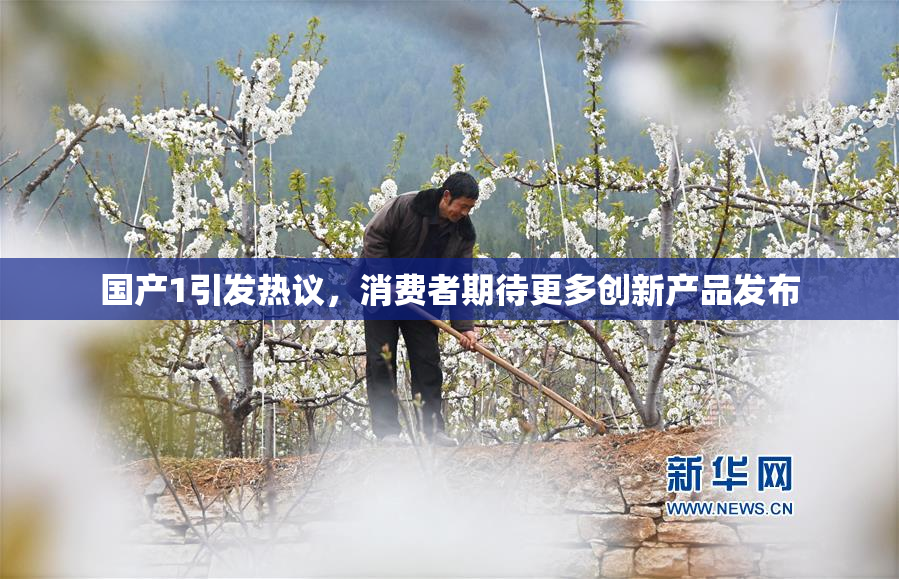 国产1引发热议，消费者期待更多创新产品发布