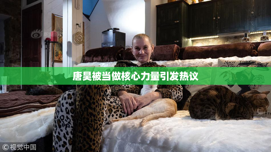 唐昊被当做核心力量引发热议