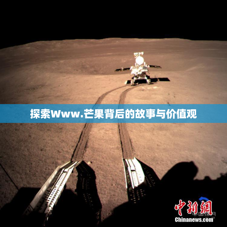 探索Www.芒果背后的故事与价值观