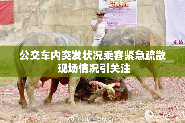 公交车内突发状况乘客紧急疏散 现场情况引关注